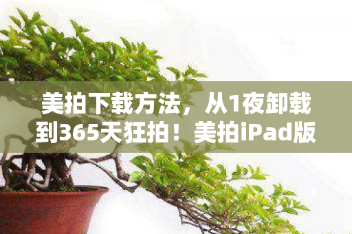 美拍下载方法，从1夜卸载到365天狂拍！美拍iPad版竟让我真香到上头？