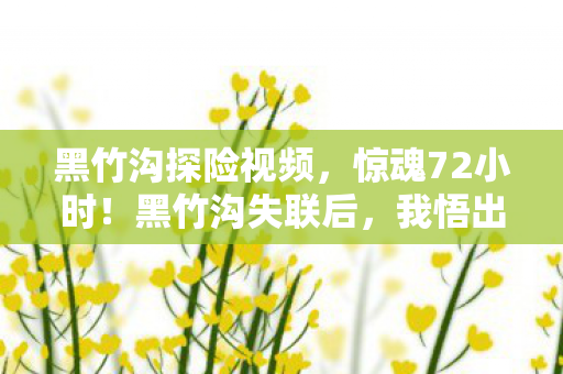 黑竹沟探险视频,惊魂72小时!黑竹沟失联后,我悟出了生命的终极答案 黑竹沟探险视频,惊魂72小时!黑竹沟失联后,我悟出了生命的终极答案