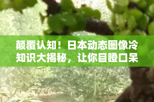 颠覆认知!日本动态图像冷知识大揭秘,让你目瞪口呆的真相! 颠覆认知!日本动态图像冷知识大揭秘,让你目瞪口呆的真相!
