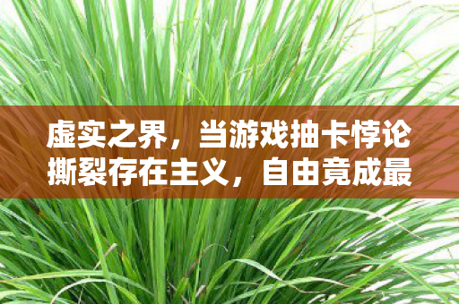 虚实之界,当游戏抽卡悖论撕裂存在主义,自由竟成最大谎言? 虚实之界,当游戏抽卡悖论撕裂存在主义,自由竟成最大谎言?