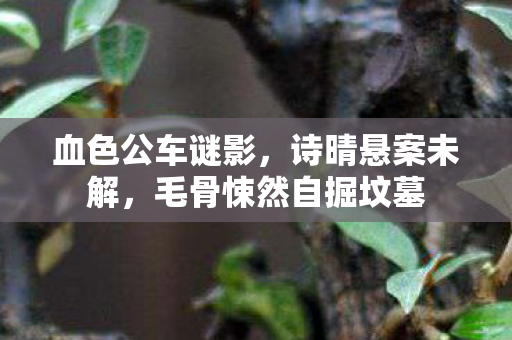 血色公车谜影,诗晴悬案未解,毛骨悚然自掘坟墓 血色公车谜影,诗晴悬案未解,毛骨悚然自掘坟墓