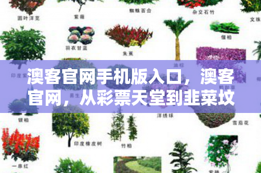 澳客官网手机版入口,澳客官网,从彩票天堂到韭菜坟场的落差真相,笑着笑着就哭了 澳客官网手机版入口,澳客官网,从彩票天堂到韭菜坟场的落差真相,笑着笑着就哭了
