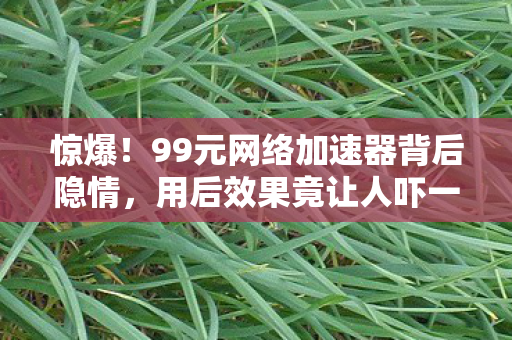 惊爆!99元网络加速器背后隐情,用后效果竟让人吓一跳! 惊爆!99元网络加速器背后隐情,用后效果竟让人吓一跳!