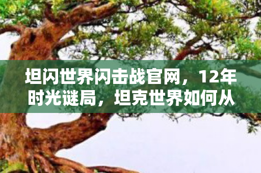 坦闪世界闪击战官网,12年时光谜局,坦克世界如何从硝烟中驶向泪目传奇? 坦闪世界闪击战官网,12年时光谜局,坦克世界如何从硝烟中驶向泪目传奇?