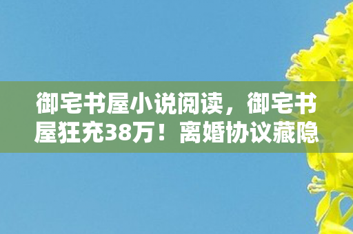御宅书屋小说阅读，御宅书屋狂充38万！离婚协议藏隐情，妻子举动让我吓一跳！