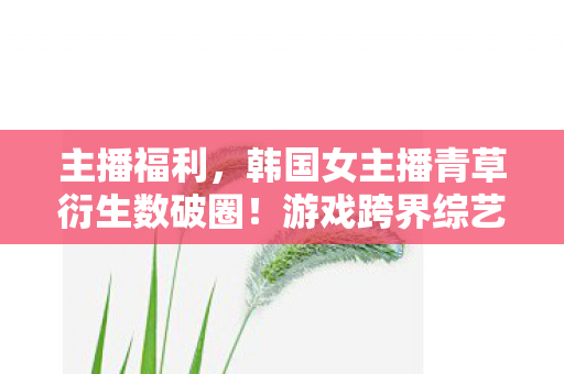 主播福利,韩国女主播青草衍生数破圈!游戏跨界综艺,意想不到的联名风暴来袭! 主播福利,韩国女主播青草衍生数破圈!游戏跨界综艺,意想不到的联名风暴来袭!