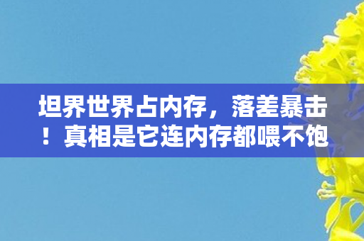 坦界世界占内存,落差暴击!真相是它连内存都喂不饱,笑着笑着就哭了的老兵 坦界世界占内存,落差暴击!真相是它连内存都喂不饱,笑着笑着就哭了的老兵