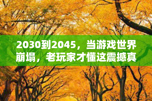 2030到2045，当游戏世界崩塌，老玩家才懂这震撼真相！