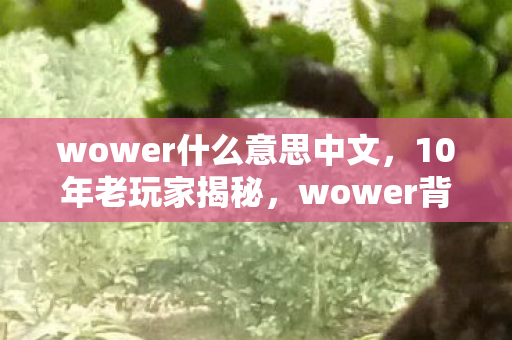 wower什么意思中文,10年老玩家揭秘,wower背后竟藏着让百万玩家集体破防的真相? wower什么意思中文,10年老玩家揭秘,wower背后竟藏着让百万玩家集体破防的真相?