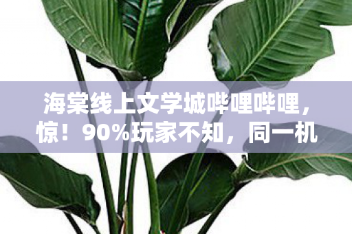 海棠线上文学城哔哩哔哩,惊!90%玩家不知,同一机制在手游/端游/主机竟差这么多! 海棠线上文学城哔哩哔哩,惊!90%玩家不知,同一机制在手游/端游/主机竟差这么多!