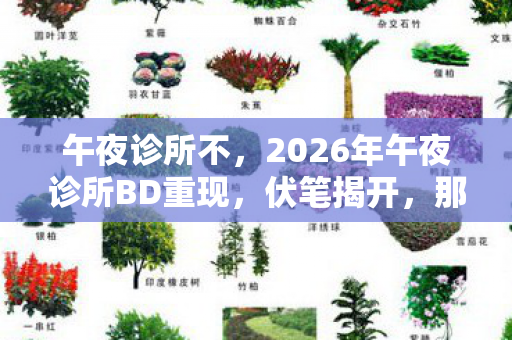 午夜诊所不,2026年午夜诊所BD重现,伏笔揭开,那些过往让人鼻子一酸 午夜诊所不,2026年午夜诊所BD重现,伏笔揭开,那些过往让人鼻子一酸