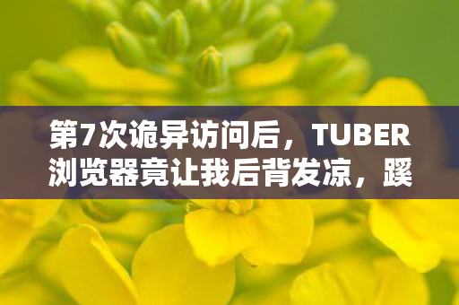 第7次诡异访问后，TUBER浏览器竟让我后背发凉，蹊跷真相藏不住了！