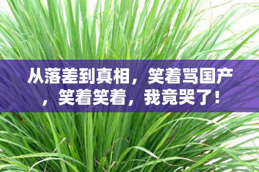 从落差到真相，笑着骂国产，笑着笑着，我竟哭了！