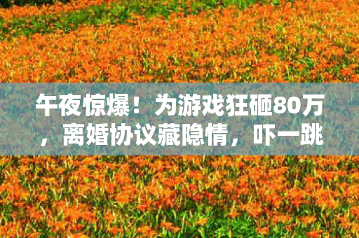 午夜惊爆！为游戏狂砸80万，离婚协议藏隐情，吓一跳的结局！