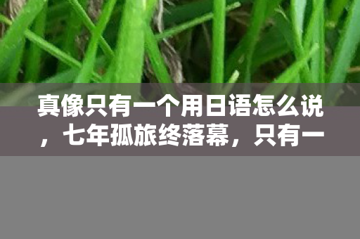 真像只有一个用日语怎么说，七年孤旅终落幕，只有一个的日语谜底，竟成关服前最后泪目