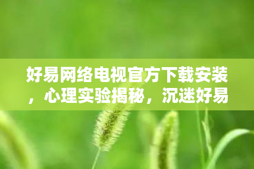 好易网络电视官方下载安装，心理实验揭秘，沉迷好易网络电视的细思极恐自我麻醉之旅