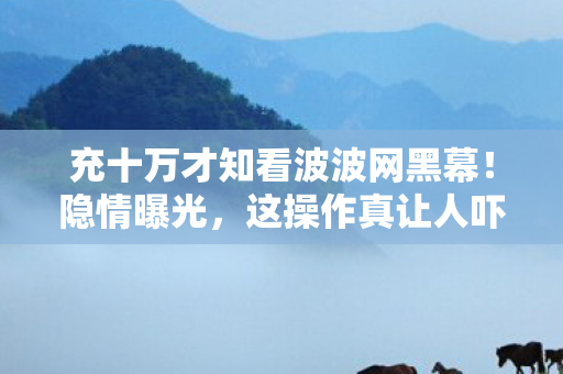 充十万才知看波波网黑幕！隐情曝光，这操作真让人吓一跳！