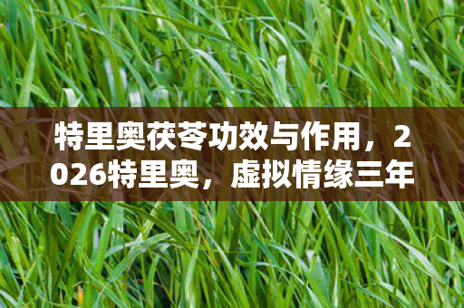 特里奥茯苓功效与作用,2026特里奥,虚拟情缘三年之约,伏笔揭开时我鼻子一酸 特里奥茯苓功效与作用,2026特里奥,虚拟情缘三年之约,伏笔揭开时我鼻子一酸