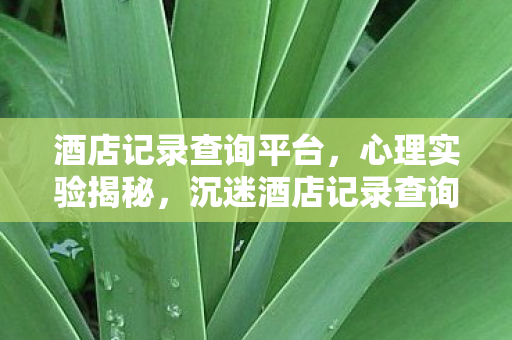 酒店记录查询平台,心理实验揭秘,沉迷酒店记录查询游戏?多巴胺陷阱细思极恐! 酒店记录查询平台,心理实验揭秘,沉迷酒店记录查询游戏?多巴胺陷阱细思极恐!