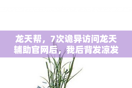 龙天帮，7次诡异访问龙天辅助官网后，我后背发凉发现这背后不简单！