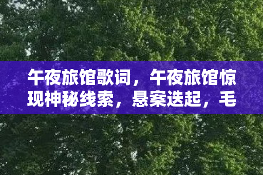 午夜旅馆歌词，午夜旅馆惊现神秘线索，悬案迭起，毛骨悚然真相等你揭晓！