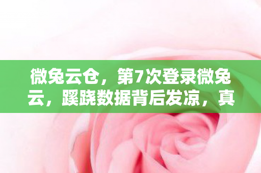 微兔云仓，第7次登录微兔云，蹊跷数据背后发凉，真相竟藏在这诡异操作里！