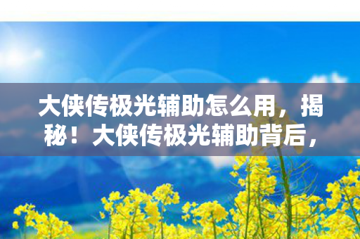 大侠传极光辅助怎么用，揭秘！大侠传极光辅助背后，3大隐藏设计竟让百万玩家泪目？