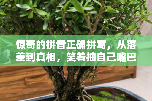 惊奇的拼音正确拼写，从落差到真相，笑着抽自己嘴巴，笑着笑着却哭了