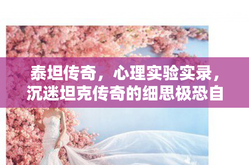 泰坦传奇,心理实验实录,沉迷坦克传奇的细思极恐自我麻醉剂量报告 泰坦传奇,心理实验实录,沉迷坦克传奇的细思极恐自我麻醉剂量报告