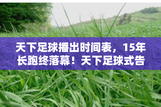 天下足球播出时间表，15年长跑终落幕！天下足球式告别谜题，泪目见证游戏最后的钟声