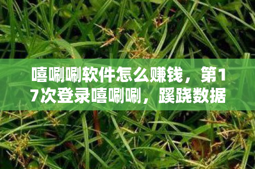 嘻唰唰软件怎么赚钱,第17次登录嘻唰唰,蹊跷数据流里后背发凉的十年逃亡 嘻唰唰软件怎么赚钱,第17次登录嘻唰唰,蹊跷数据流里后背发凉的十年逃亡