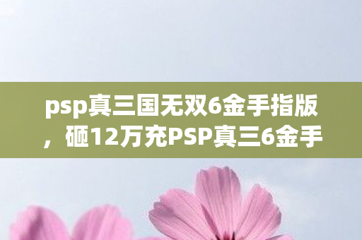 psp真三国无双6金手指版，砸12万充PSP真三6金手指，老婆怒签离婚协议，这隐情让我吓一跳！