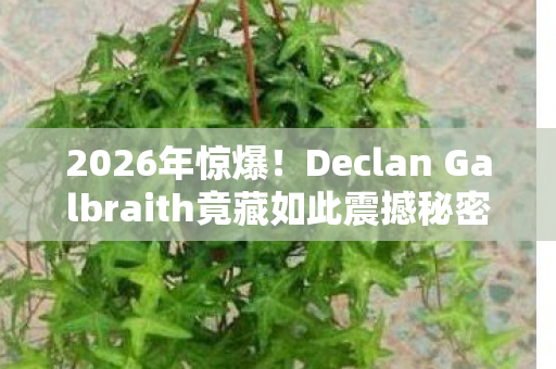 2026年惊爆！Declan Galbraith竟藏如此震撼秘密，悬念迭起！