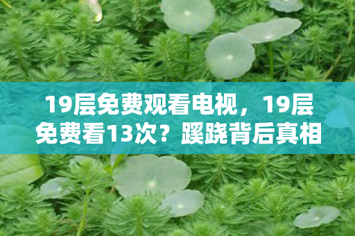19层免费观看电视，19层免费看13次？蹊跷背后真相让我后背发凉！