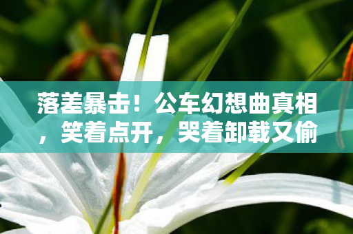 落差暴击！公车幻想曲真相，笑着点开，哭着卸载又偷偷下载