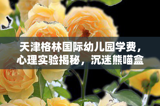 天津格林国际幼儿园学费，心理实验揭秘，沉迷熊喵盒子的细思极恐——我的大脑如何被驯服