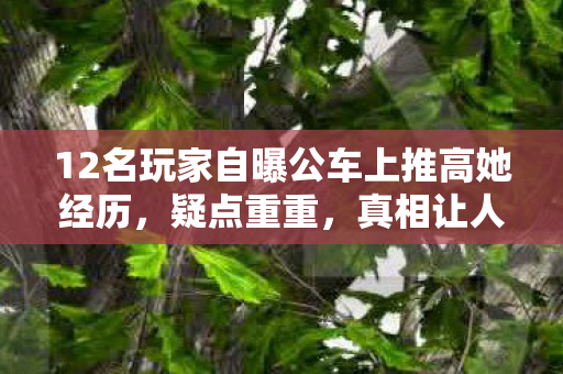 12名玩家自曝公车上推高她经历,疑点重重,真相让人绷不住! 12名玩家自曝公车上推高她经历,疑点重重,真相让人绷不住!