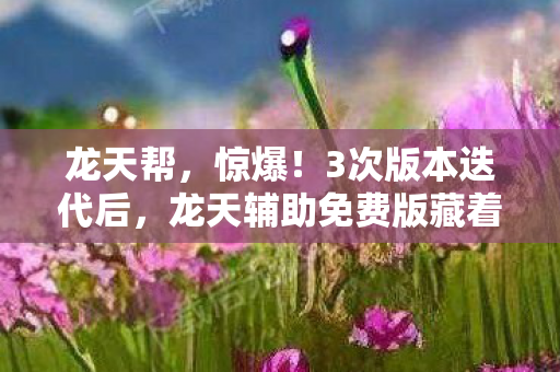 龙天帮,惊爆!3次版本迭代后,龙天辅助免费版藏着什么致命秘密? 龙天帮,惊爆!3次版本迭代后,龙天辅助免费版藏着什么致命秘密?