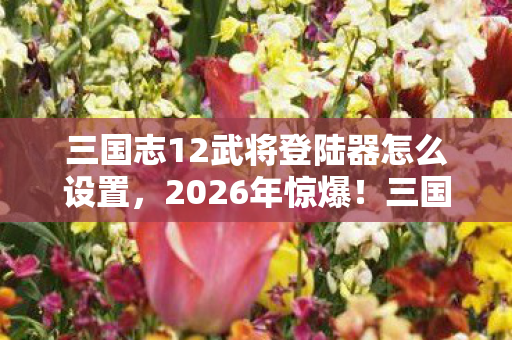 三国志12武将登陆器怎么设置，2026年惊爆！三国迷狂喜，这款登陆器竟藏着惊天秘密？
