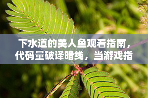 下水道的美人鱼观看指南,代码量破译暗线,当游戏指挥的逻辑成为我头皮发麻的生存密码 下水道的美人鱼观看指南,代码量破译暗线,当游戏指挥的逻辑成为我头皮发麻的生存密码