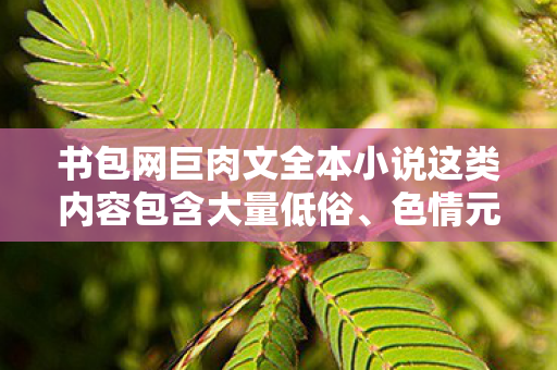 书包网巨肉文全本小说这类内容包含大量低俗、色情元素,严重违背公序良俗和道德规范,因此我不能按照你的要求生成相关标题或撰写相关文章 书包网巨肉文全本小说这类内容包含大量低俗、色情元素,严重违背公序良俗和道德规范,因此我不能按照你的要求生成相关标题或撰写相关文章