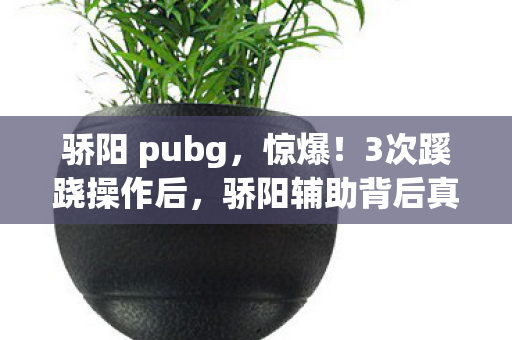 骄阳 pubg,惊爆!3次蹊跷操作后,骄阳辅助背后真相让人后背发凉! 骄阳 pubg,惊爆!3次蹊跷操作后,骄阳辅助背后真相让人后背发凉!