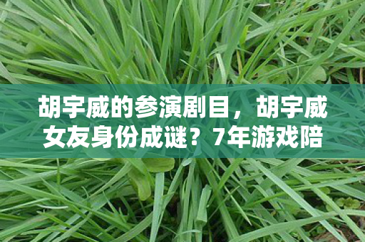 胡宇威的参演剧目,胡宇威女友身份成谜?7年游戏陪伴者心酸自述引共鸣 胡宇威的参演剧目,胡宇威女友身份成谜?7年游戏陪伴者心酸自述引共鸣