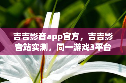 吉吉影音app官方，吉吉影音站实测，同一游戏3平台操作差异竟达73%！玩家集体破防