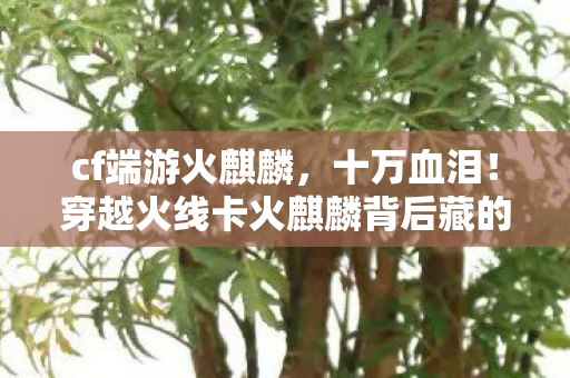 cf端游火麒麟,十万血泪!穿越火线卡火麒麟背后藏的隐情,真让人吓一跳! cf端游火麒麟,十万血泪!穿越火线卡火麒麟背后藏的隐情,真让人吓一跳!