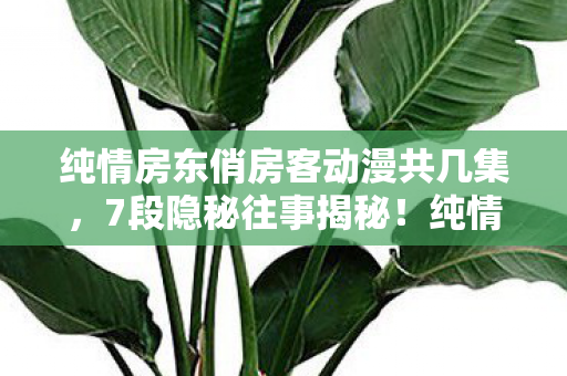 纯情房东俏房客动漫共几集，7段隐秘往事揭秘！纯情房东俏房客背后藏着什么惊天秘密？
