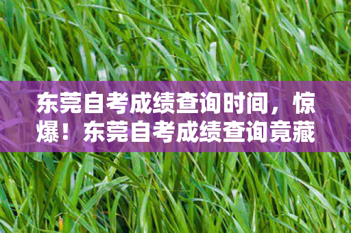 东莞自考成绩查询时间,惊爆!东莞自考成绩查询竟藏这数字玄机,你绝对想不到! 东莞自考成绩查询时间,惊爆!东莞自考成绩查询竟藏这数字玄机,你绝对想不到!
