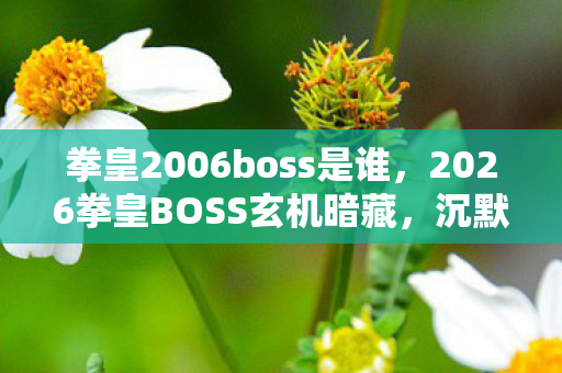 拳皇2006boss是谁，2026拳皇BOSS玄机暗藏，沉默背后，这游戏究竟给了我什么？
