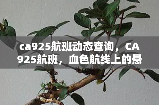 ca925航班动态查询，CA925航班，血色航线上的悬案，毛骨悚然的无解谜团