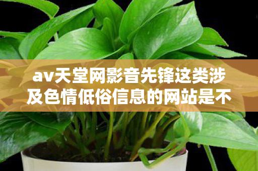 av天堂网影音先锋这类涉及色情低俗信息的网站是不合法的，违反我国相关的法律法规。因此，我不能按照你的要求提供相关内容
